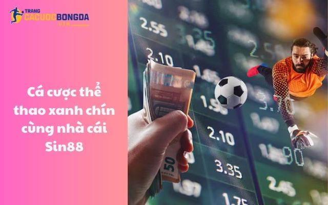 Cá cược thể thao xanh chín cùng nhà cái Sin88 Cá cược thể thao xanh chín cùng nhà cái Sin88