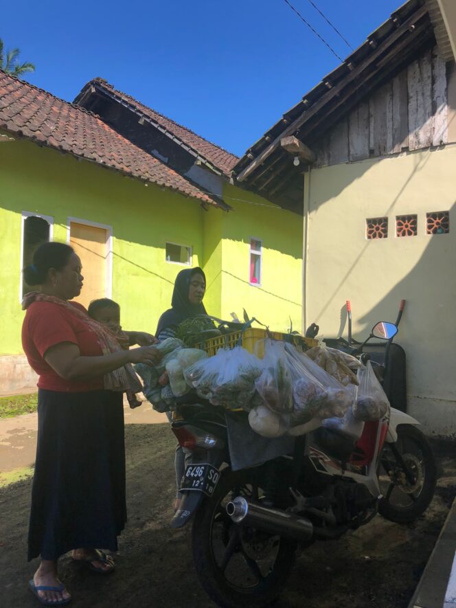 
					Kenaikan harga Cabe dan Tomat hampir 100%. Foto; Suararakyatindo.com