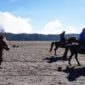 Viral! Penyedia Jasa Kuda Meminta Uang Terhadap Wisatawan Gunung Bromo