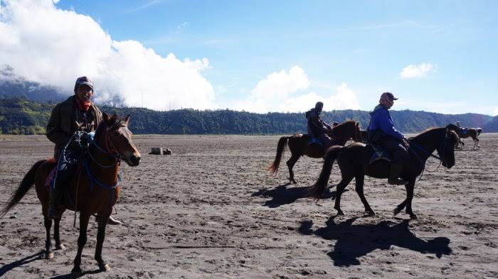 Viral! Penyedia Jasa Kuda Meminta Uang Terhadap Wisatawan Gunung Bromo