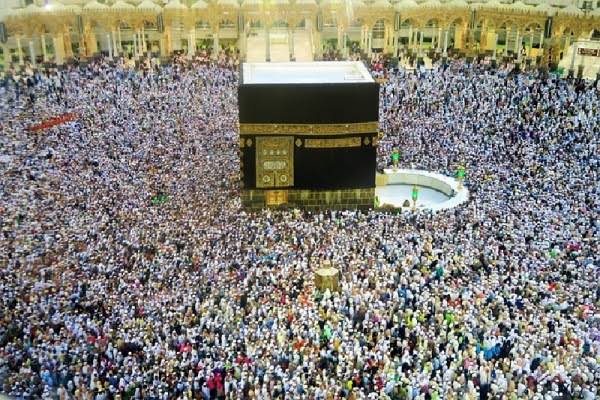 Jumlah Jemaah Haji Yang Meninggal Total 41 Orang