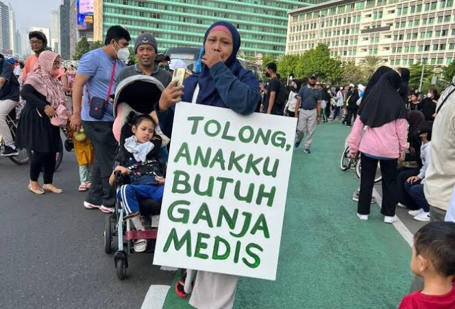 
					Ganja Medis di Tolak Oleh Mahkamah Konstitusi. (Foto; Hello.id)