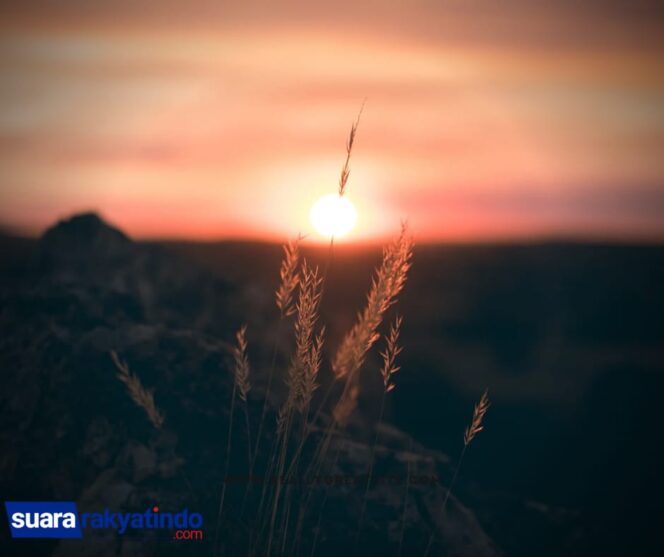 
					Keindahan saat kedatang malam Tahun Baru.