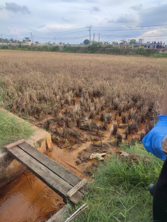 
					Pencemaran lingkungan yang terjadi di Lamongan. (Foto; SRI)