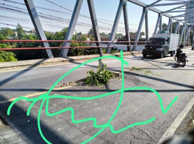 
					Kondisi jembatan Pajarakan Probolinggo rusak. (Foto; SRI)