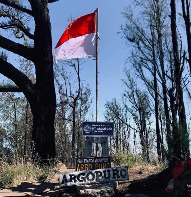 
					Kondisi gunung Argopuro sebelum kebakaran. (Foto: IG @gunungargopuro)