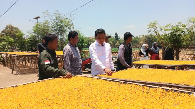 
					Calon Wakil Walikota Probolinggo,  Zainal Arifin saat mengunjungi Kampung Marning, Kota Probolinggo. (Foto: Suararakyatindo)