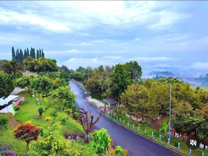 
					Keindahan Puncak Rembangan Jember/yukwisata