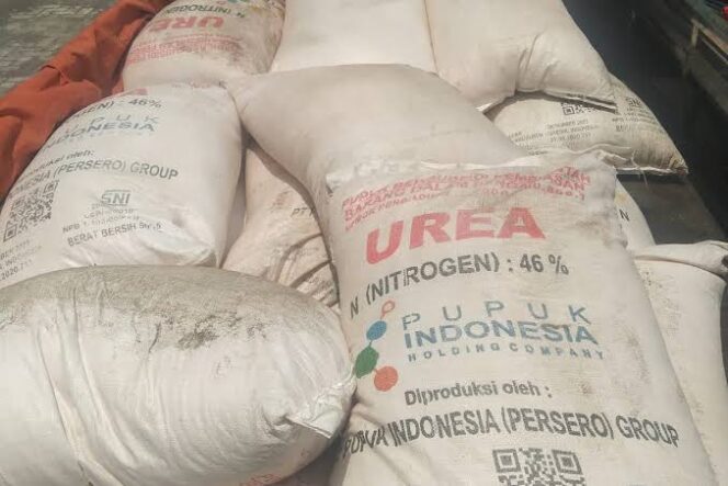 
					Penyelundupan Pupuk Urea di Probolinggo di amankan oleh Polres Probolinggo. (Foto: SRI)