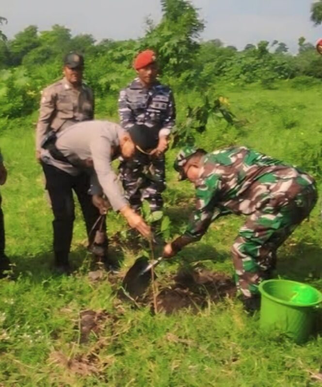 
					TNI Polri Penanaman pohon di Gunung Bentar Probolinggo. (Foto: Istimewa)