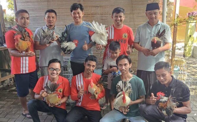 
					Komunitas pecinta ayam Kate Kabupaten Probolinggo.