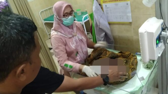 
					Warga di Probolinggo Digegerkan Penemuan Bayi Laki-Laki di TPS Gading Wetan