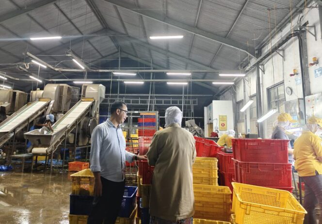 
					Komisaris PT Mitratani Dua Tujuh, Mahendra Utama saat melakukan kunjungan ke pabrik pengolahan di Jember Jawa Timur. (Foto: Istimewa)