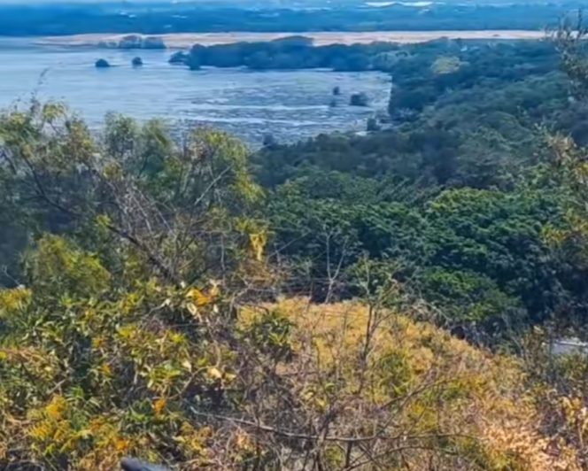 
					Pantai bentar Probolinggo terlihat ranting-ranting dan pepohonan