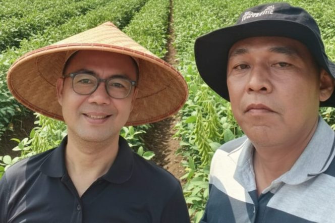 
					Edamame dan Okra, Dua Komoditas Sunyi 