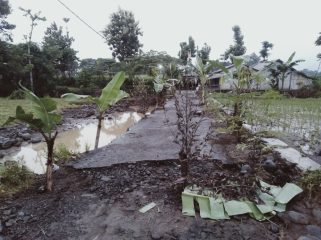 Kondisi jalan Dusun Curahkates menuju desa Desa Opo-Opo nyaris tidak bisa terlewati. Foto: Istimewa.