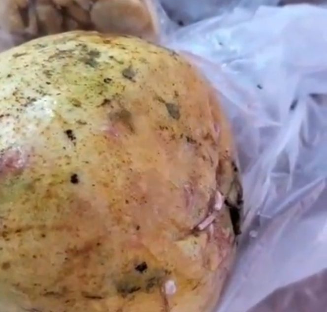 
					MBG Disorot! Video Jambu Berulat dari SPPG Tongas Kulon Gegerkan Warga Probolinggo