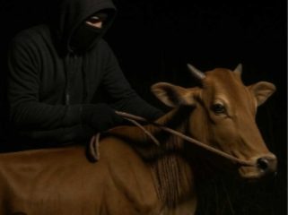 Komplotan Penipu Sapi di Pasar Wonoasih Dibekuk, Dua Ditangkap Tiga Masuk DPO