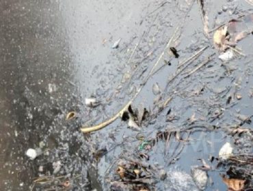 DLH Kota Probolinggo Awasi Pemulihan Tumpahan Oli di Saluran Menuju DAM Amsterdam