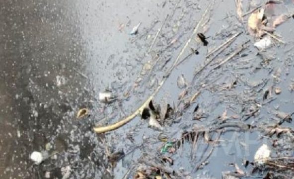 DLH Kota Probolinggo Awasi Pemulihan Tumpahan Oli di Saluran Menuju DAM Amsterdam
