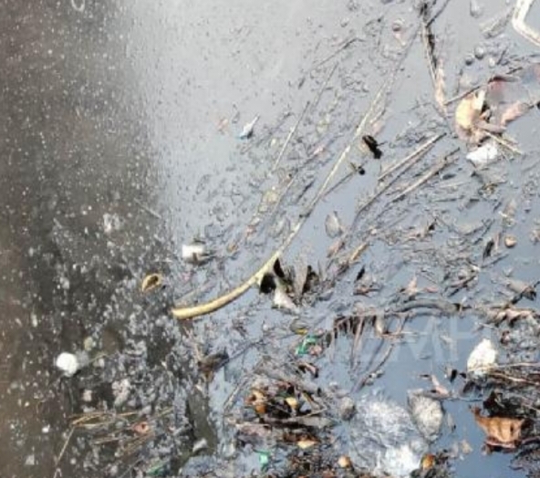 DLH Kota Probolinggo Awasi Pemulihan Tumpahan Oli di Saluran Menuju DAM Amsterdam