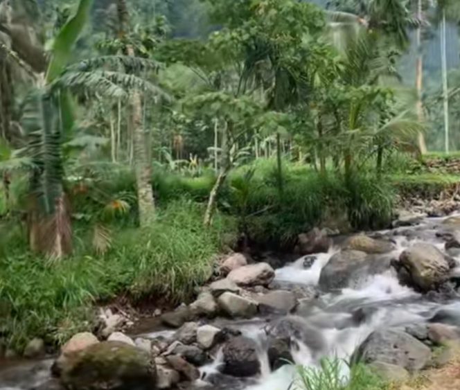 
					Probolinggo Rafting Resmi Dibuka, Tantang Adrenalin Susuri Derasnya Sungai Argopuro