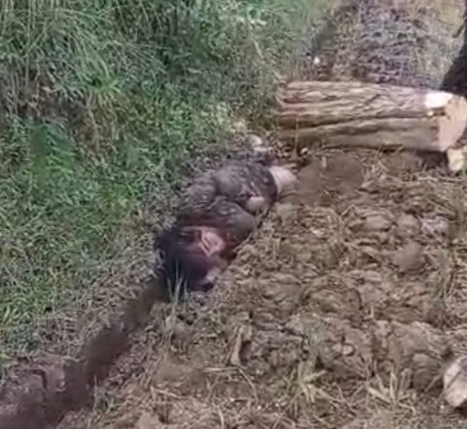 
					Perempuan Ditemukan Tak Sadarkan Diri di Parit Sawah Tongas, Polisi Selidiki Dugaan Kekerasan